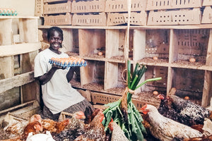 Uganda henhouse project sees first eggs, estimated to yield $2k/mo for scholarships; school, farmland improvements planned with $38k matching challenge