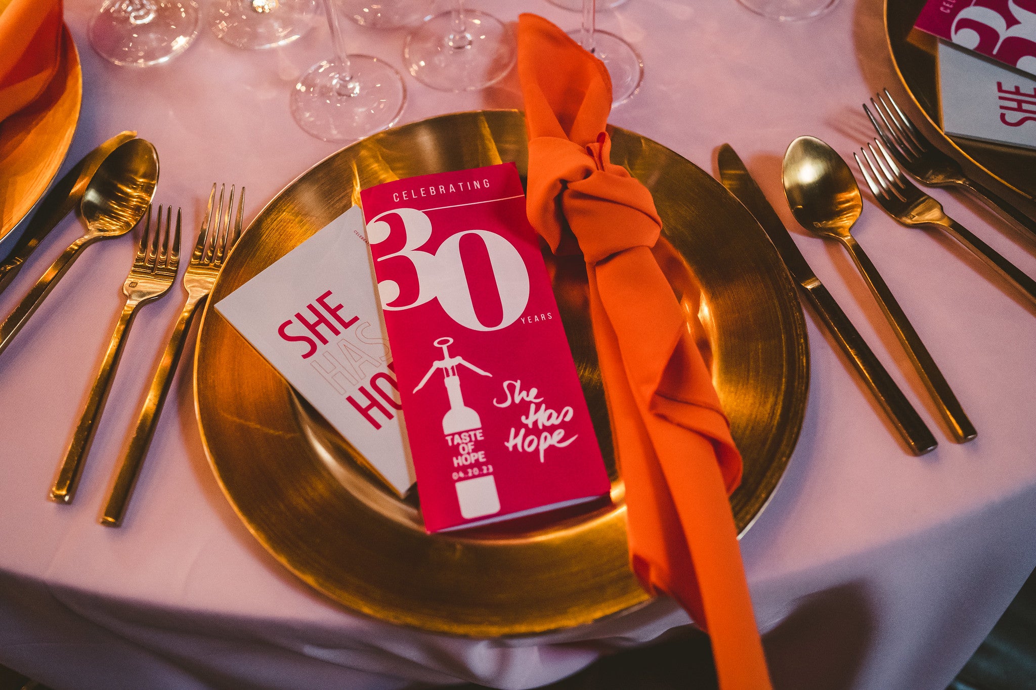 Annual Gala celebrates 30 years of work, raises 11.6% of annual budget in one night