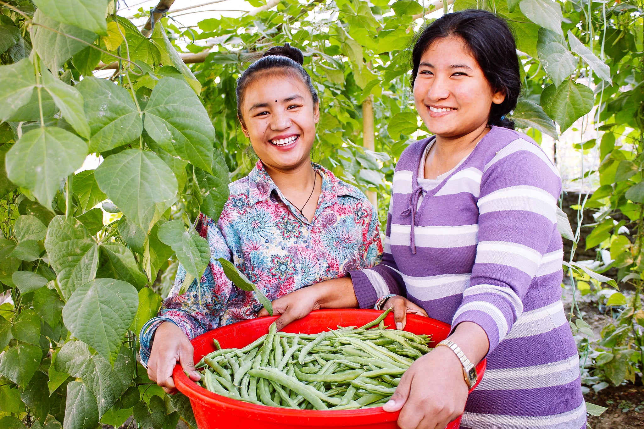 Nepal rehabilitation home gardening project sees continued success; the story of one brave survivor and her courageous journey to escape slavery