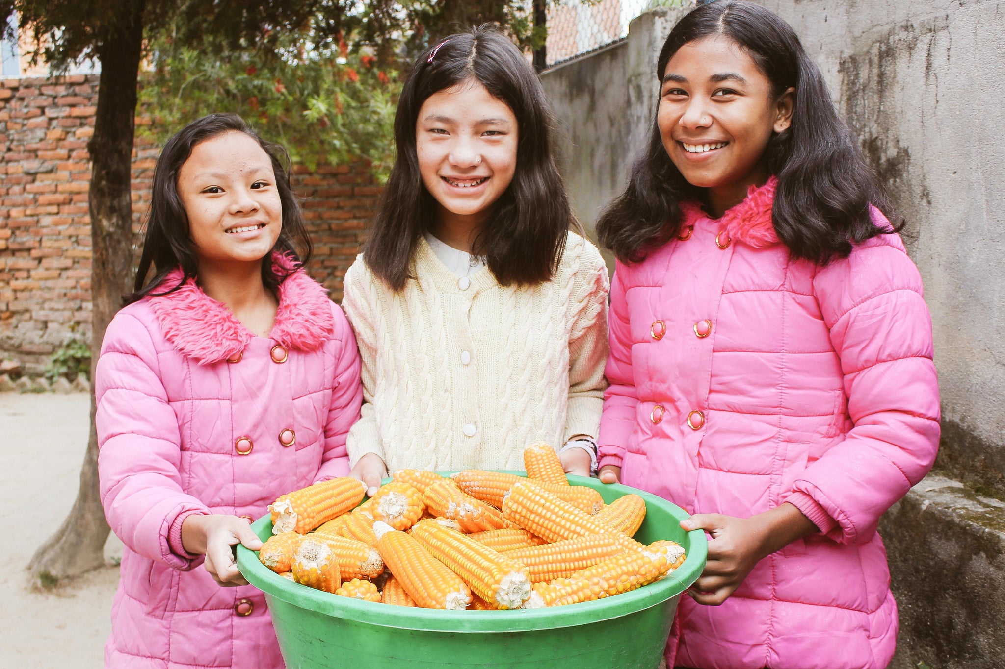 Nearly one ton of corn harvested at Nepal farmland to stock orphan home pantry for one year; essay of an orphan girl's life in her own words