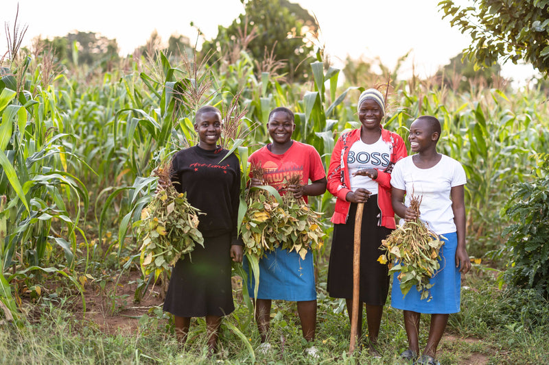 A Thanksgiving harvest of joy in 12 moments, all thanks to your faithful generosity